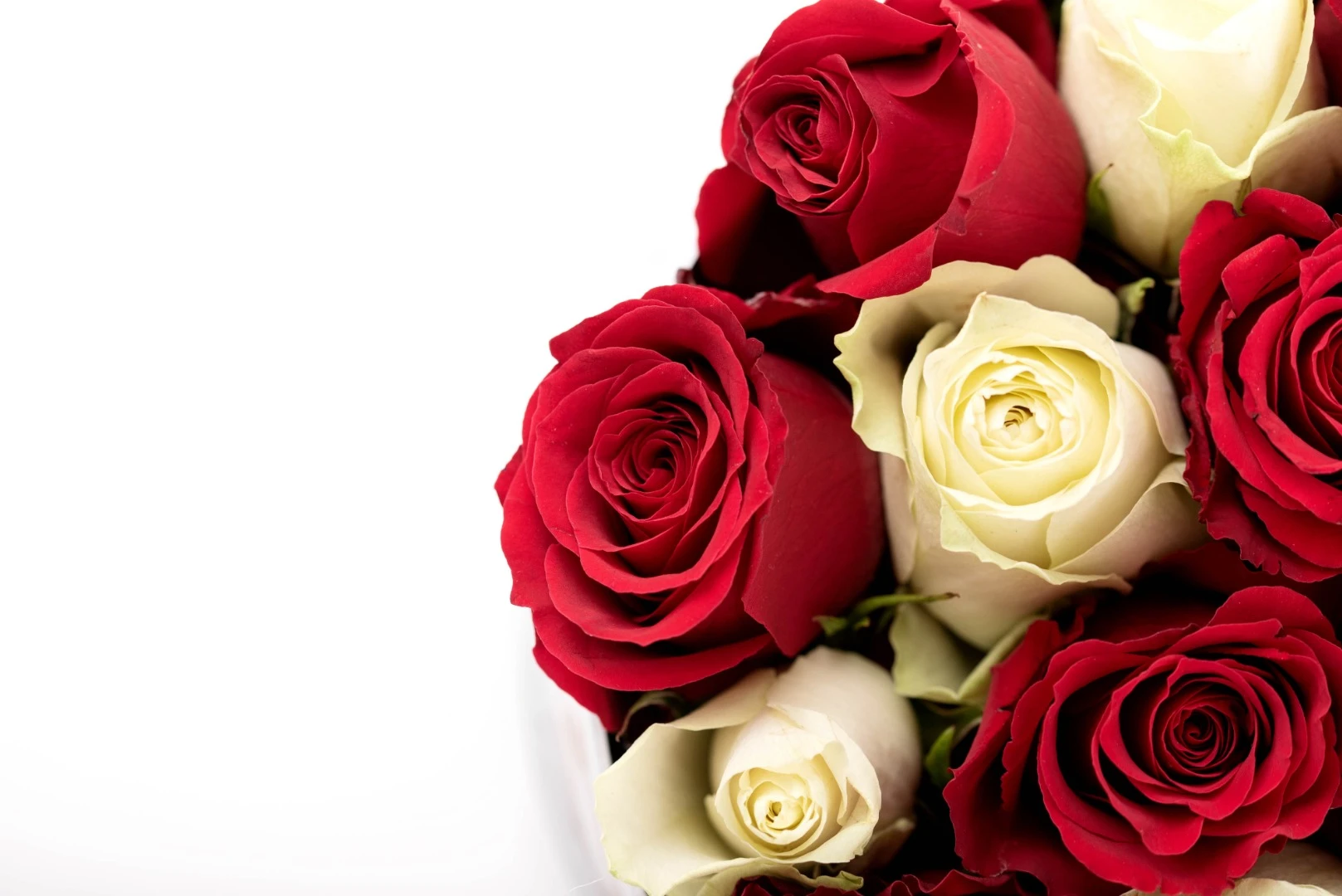 Delicadeza